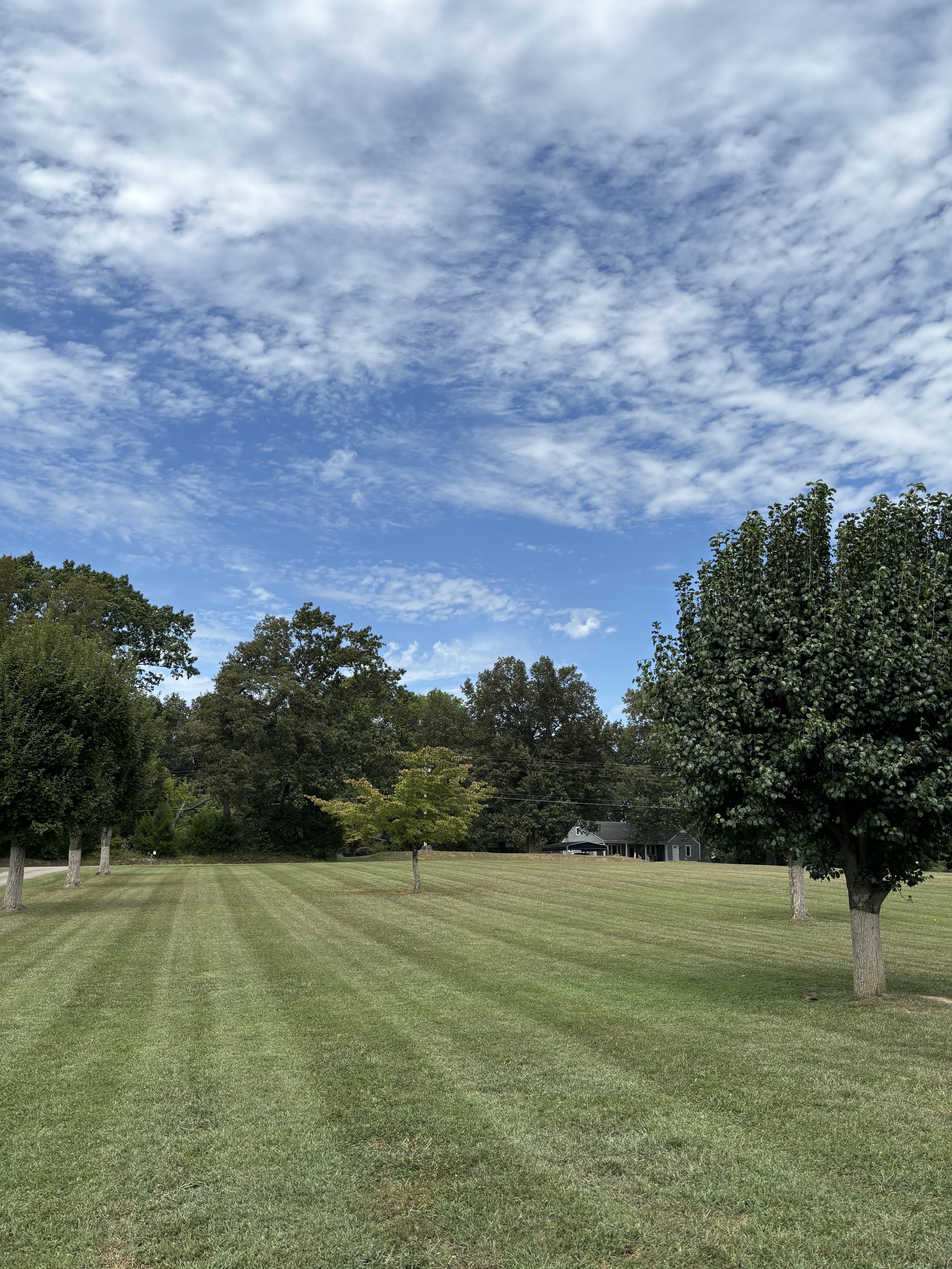 Clarksville Lawn Care