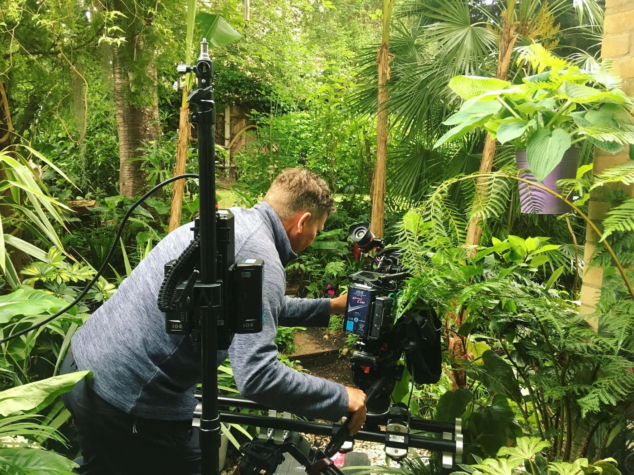 BBC Gardeners World cameraman is operating camera equipment among dense green tropical plants in a lush jungle garden setting.