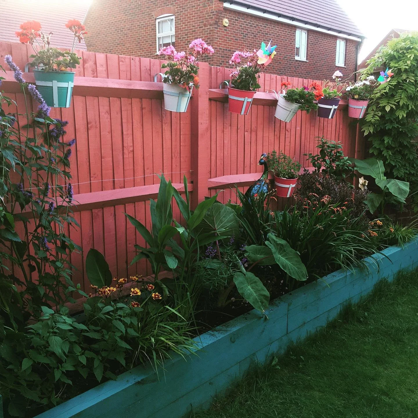 A backyard garden with a pink wooden fence, colorful flower pots hanging on the fence, and various green plants and flowers in the garden bed below.