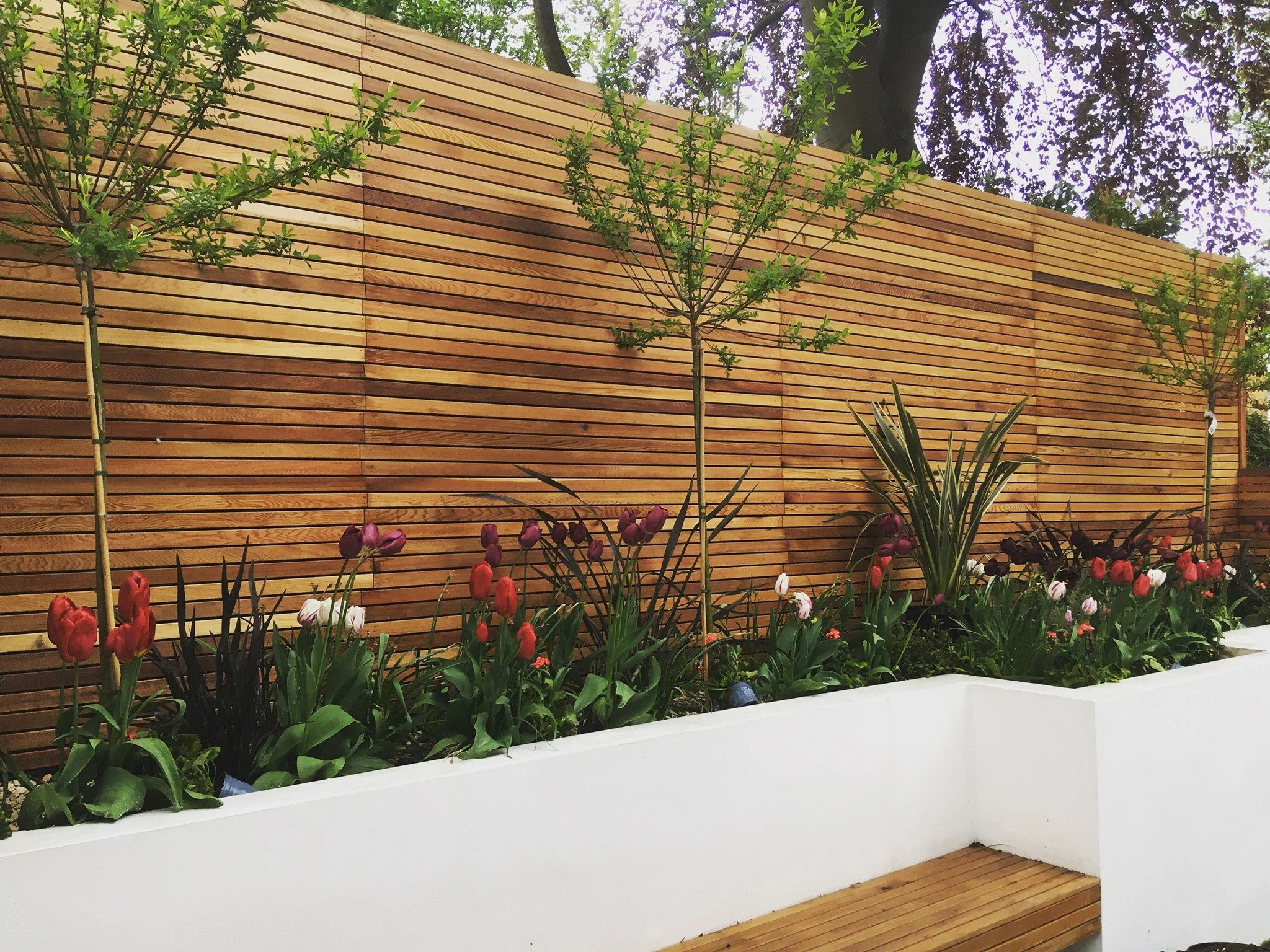 A landscaped outdoor area featuring a wooden fence, green trees, and a variety of colorful tulip flowers in a garden bed with a white border.