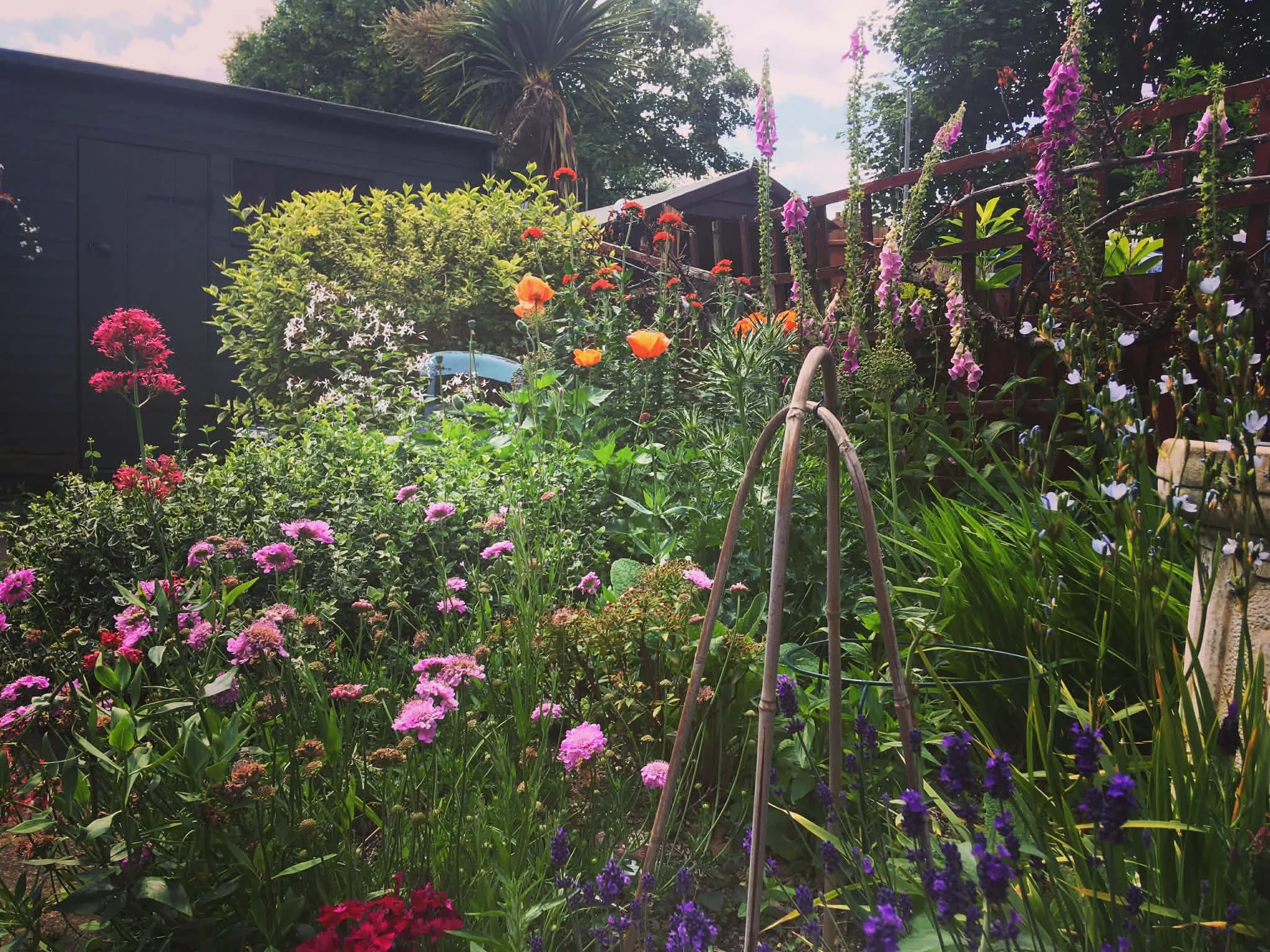 A backyard garden filled with various colorful flowers and greenery. There is a black shed, a wooden fence with climbing plants, and a small tree in the background. The sky is partly cloudy.