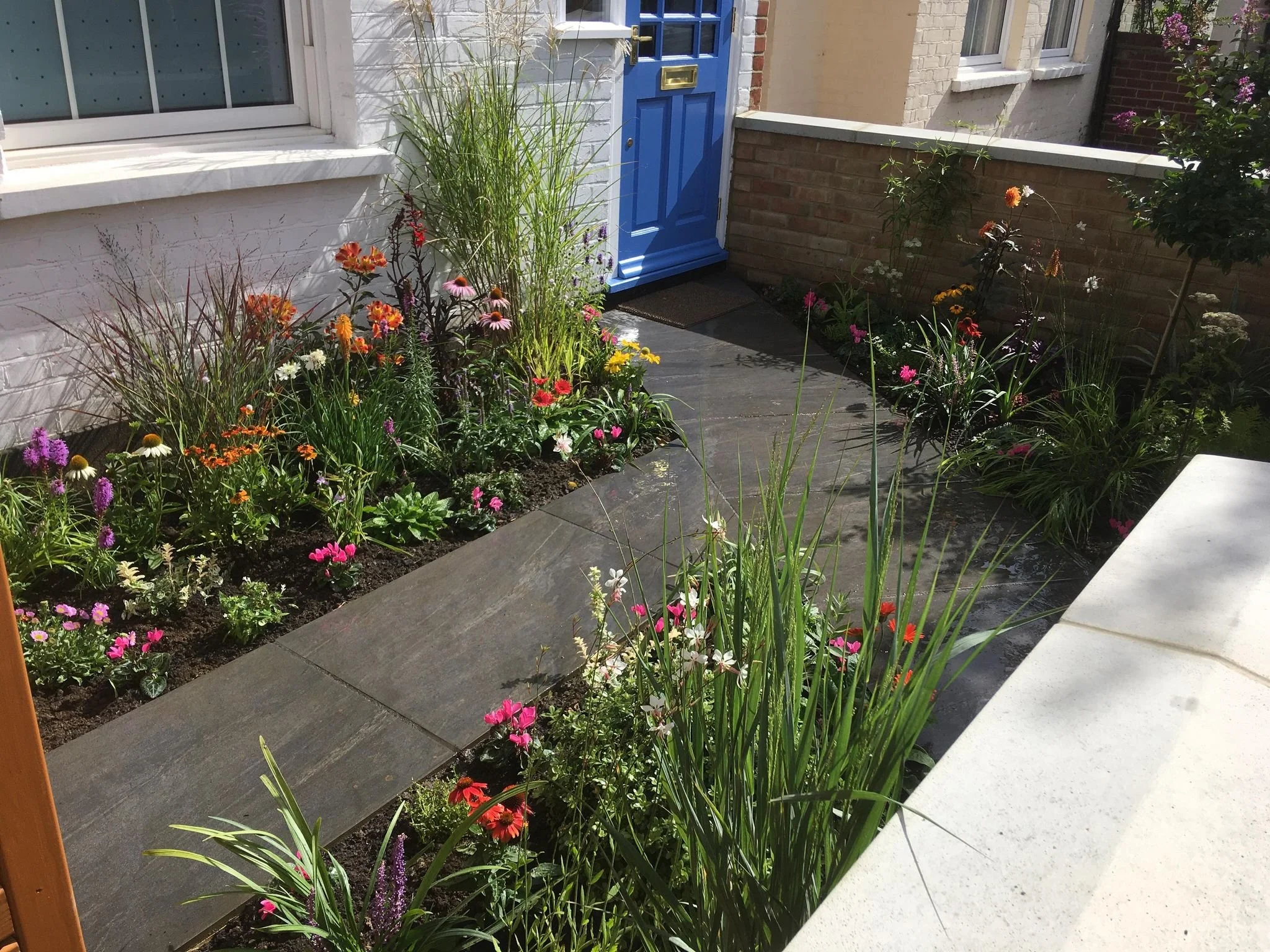 Front garden with colorful flowers, plants, and a pathway next to a white house with a blue door.
