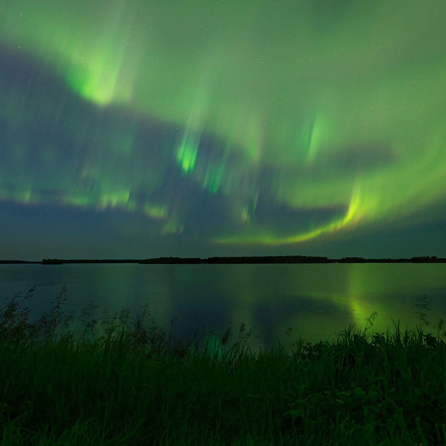 Northern lights (aurora borealis) over a body of water at night with grassy foreground.