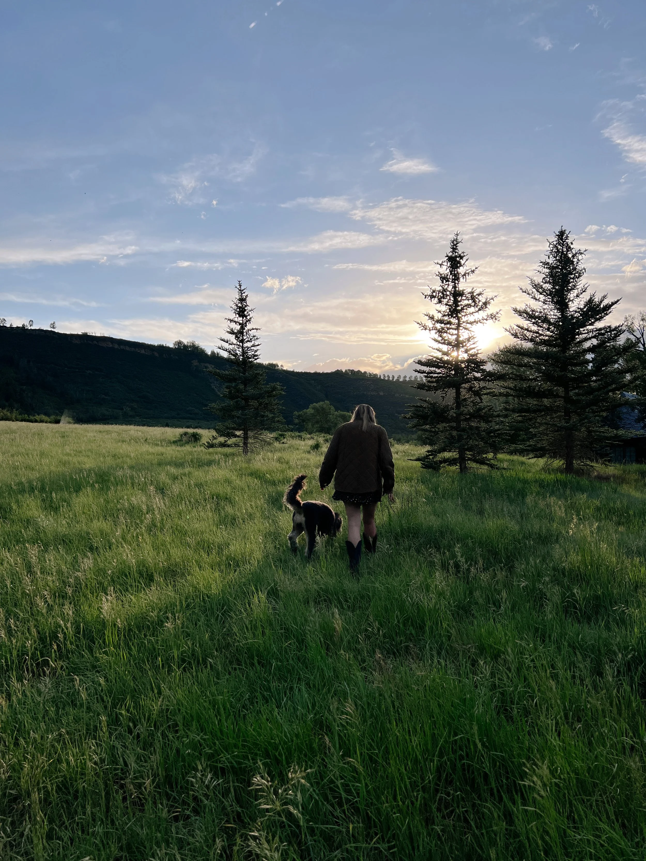 A woman walking a dog through a grassy field during sunset with trees and hills in the background.