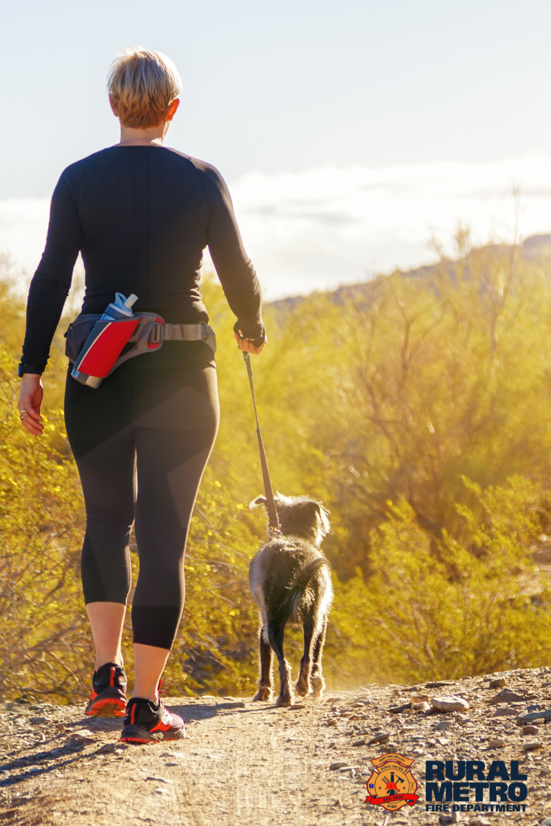 Hiking with Dogs in Arizona Heat