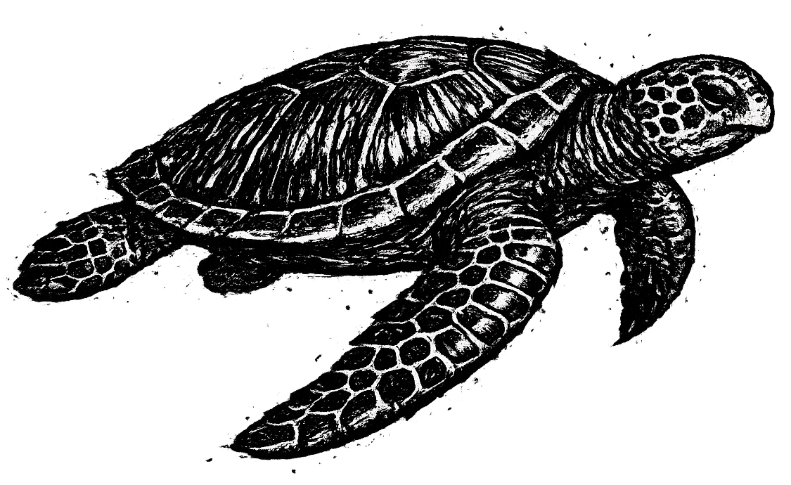 A black and white stylized drawing of a sea turtle swimming.