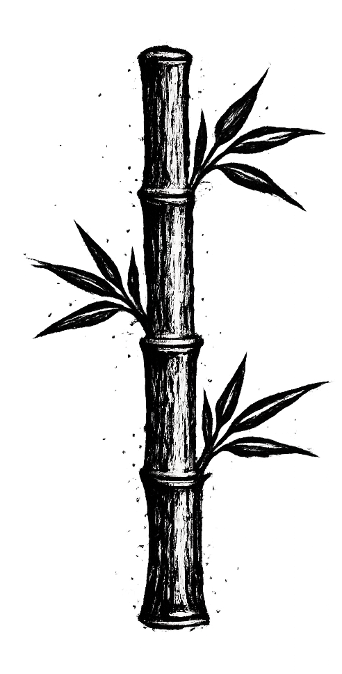 Black and white illustration of a bamboo stalk with leaves