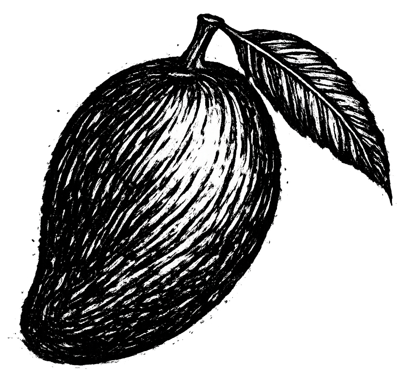 Black and white sketch of a mango with a leaf attached.