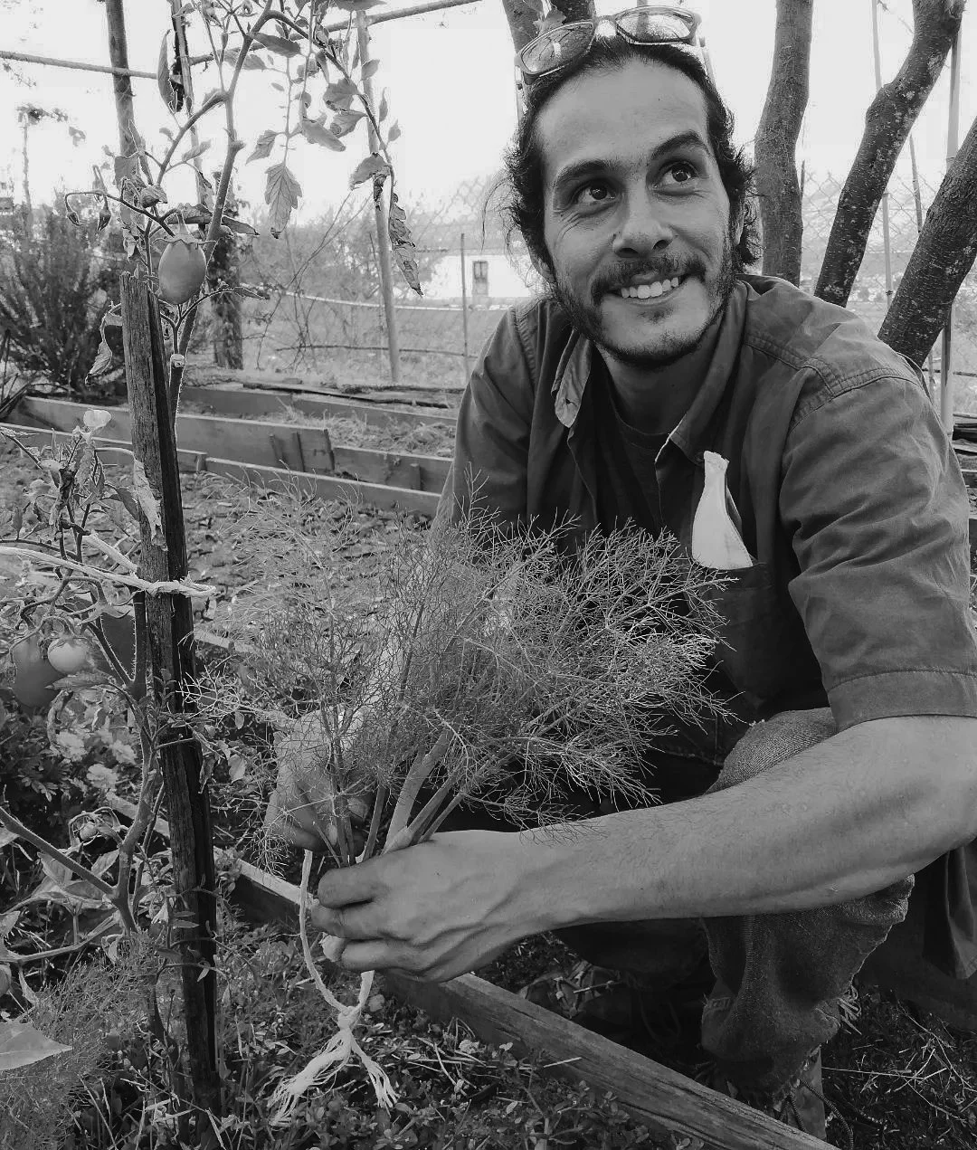 A photo of Jorge Luis Gutiérrez; man with glasses on his head, smiling, kneels in a garden holding a curly parsley plant with other plants and trees in the background.