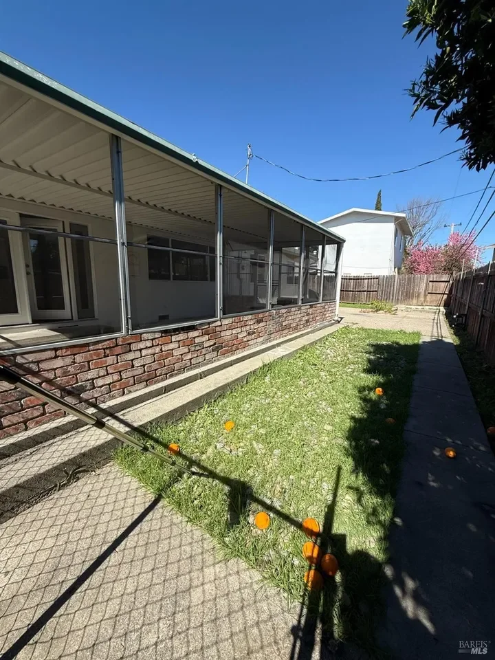 Back Yard.webp