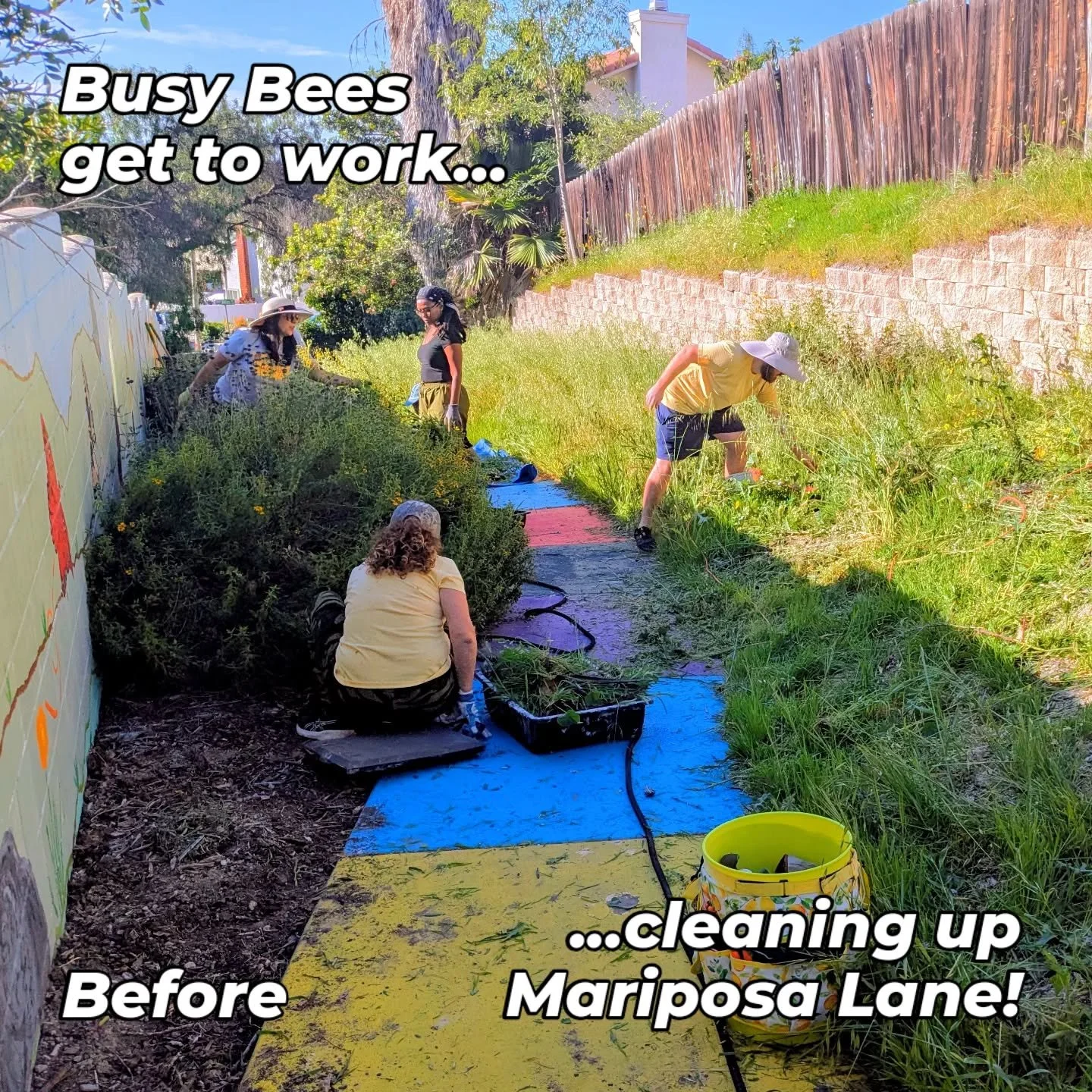 Mariposa Lane &ndash; Lemon Grove's Secret Path &ndash; had gotten pretty overgrown with weeds due to the recent rains. So, I had the pleasure of getting out there with the @busybee_coop to clean up the path. This will be such a treat for those kids 