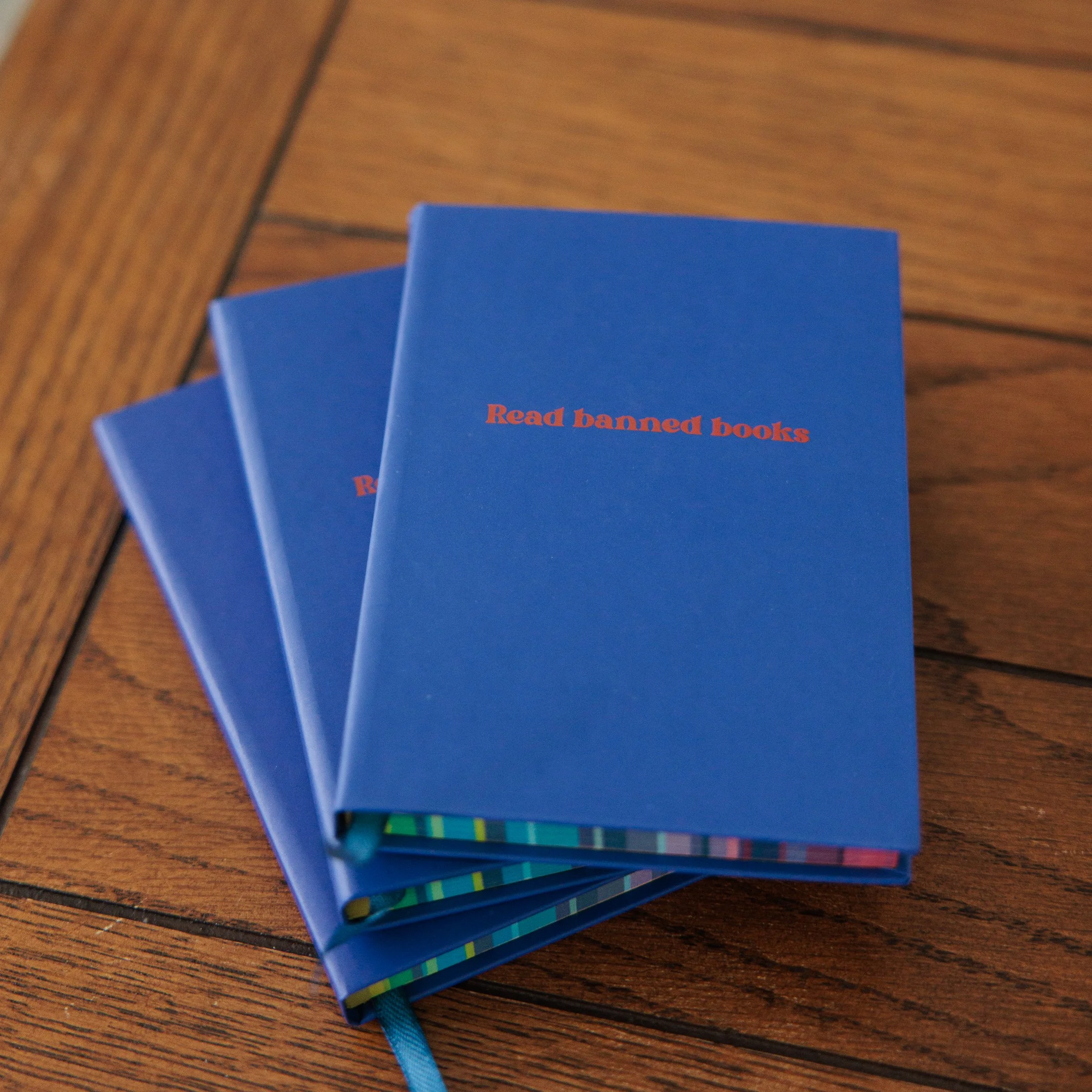 Lit Resistance notebook