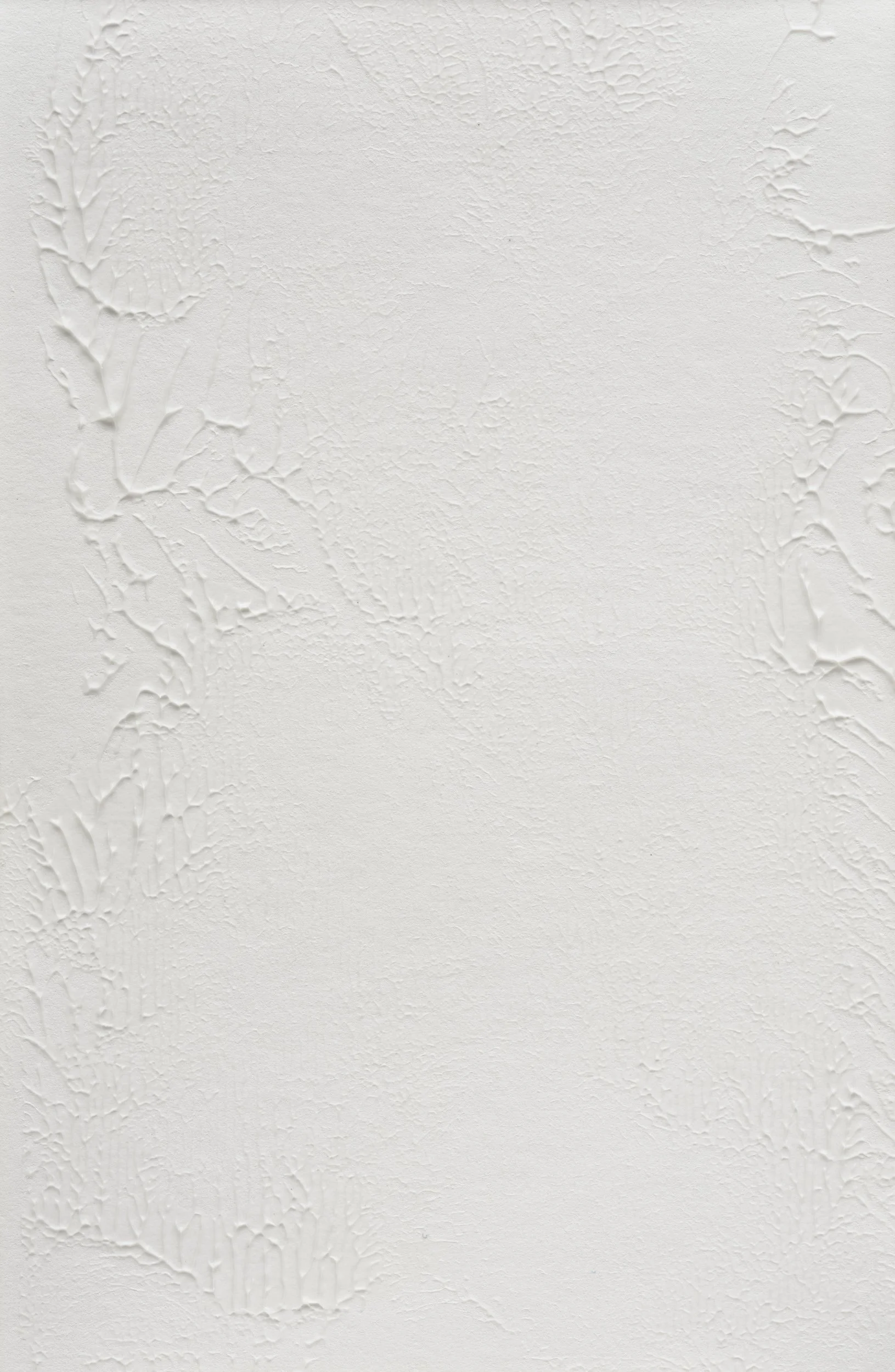 Plant Ghost - 3 / Molding Paste on Paper