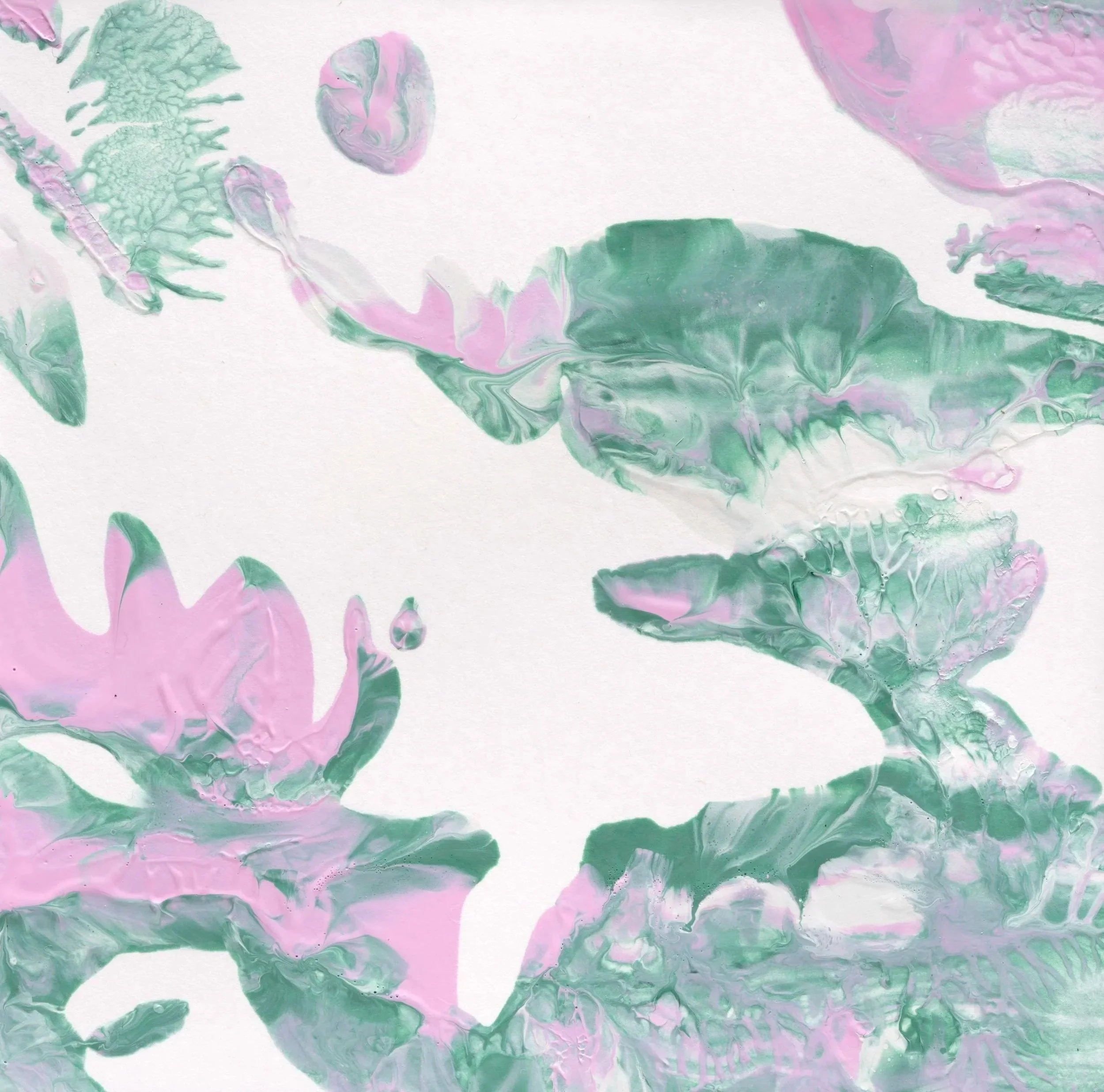 Flora, Fossils, and Fauna Series