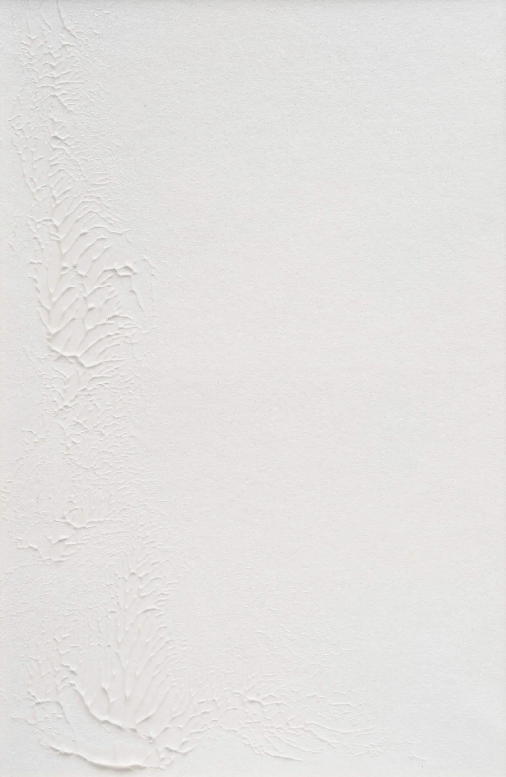 Plant Ghost - 4 / Molding Paste on Paper
