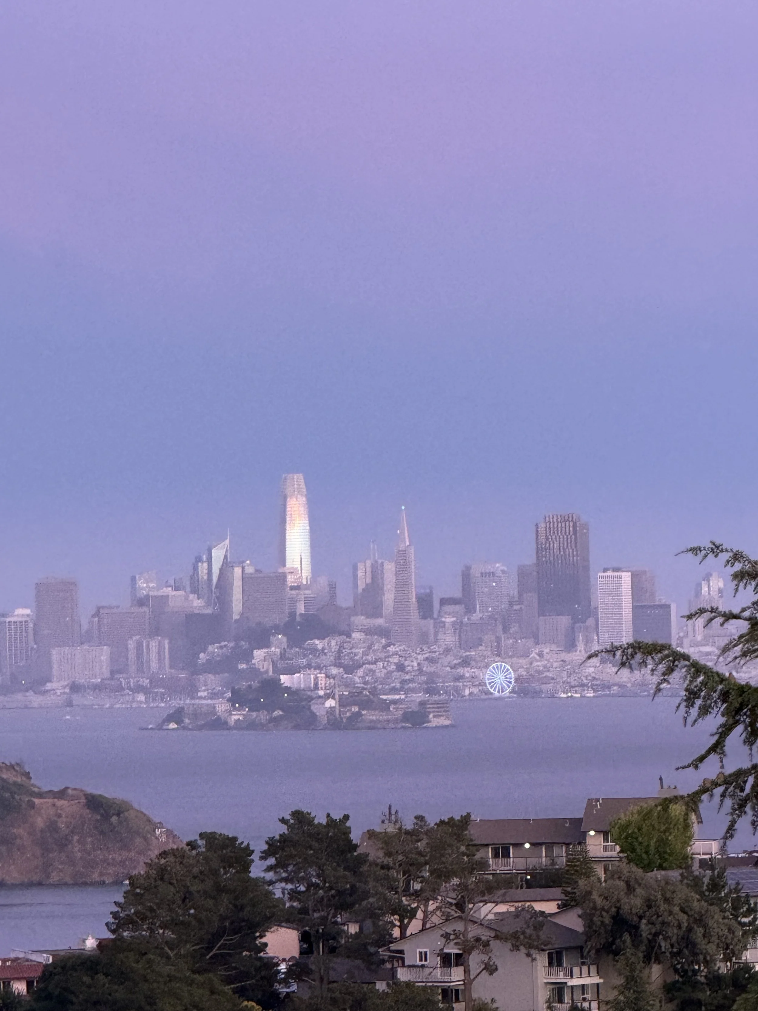 Evening view of San Francisco from Amy Buckner Chowdhry's Tiburon art studio. 