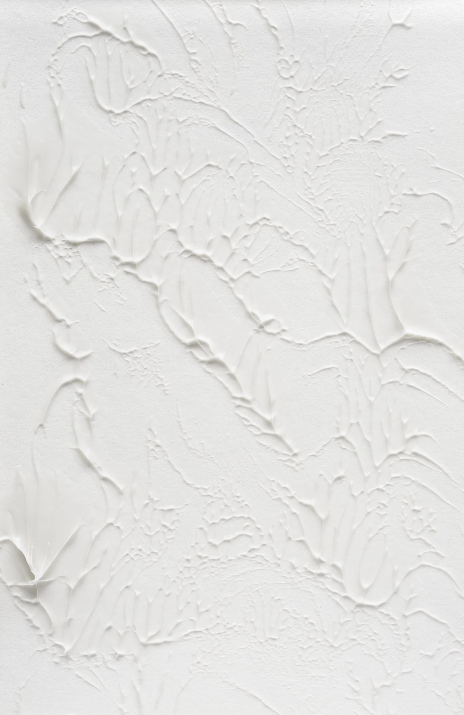 Plant Ghost - 1 / Molding Paste on Paper
