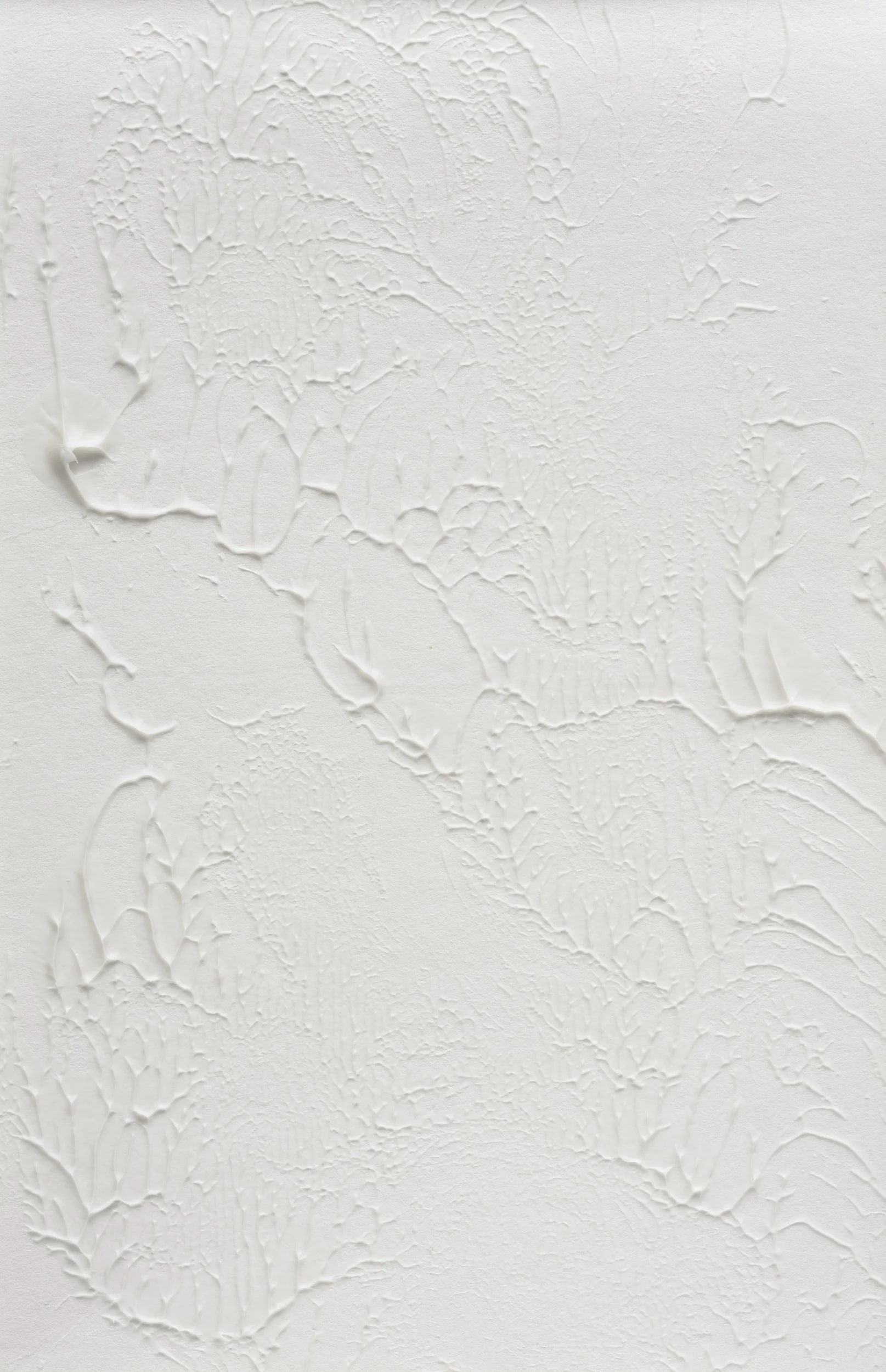 Plant Ghost - 2 / Molding Paste on Paper