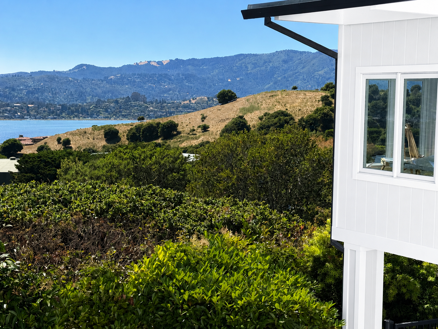 Amy Buckner Chowdhry's Tiburon art studio with a view of Richardson Bay. 