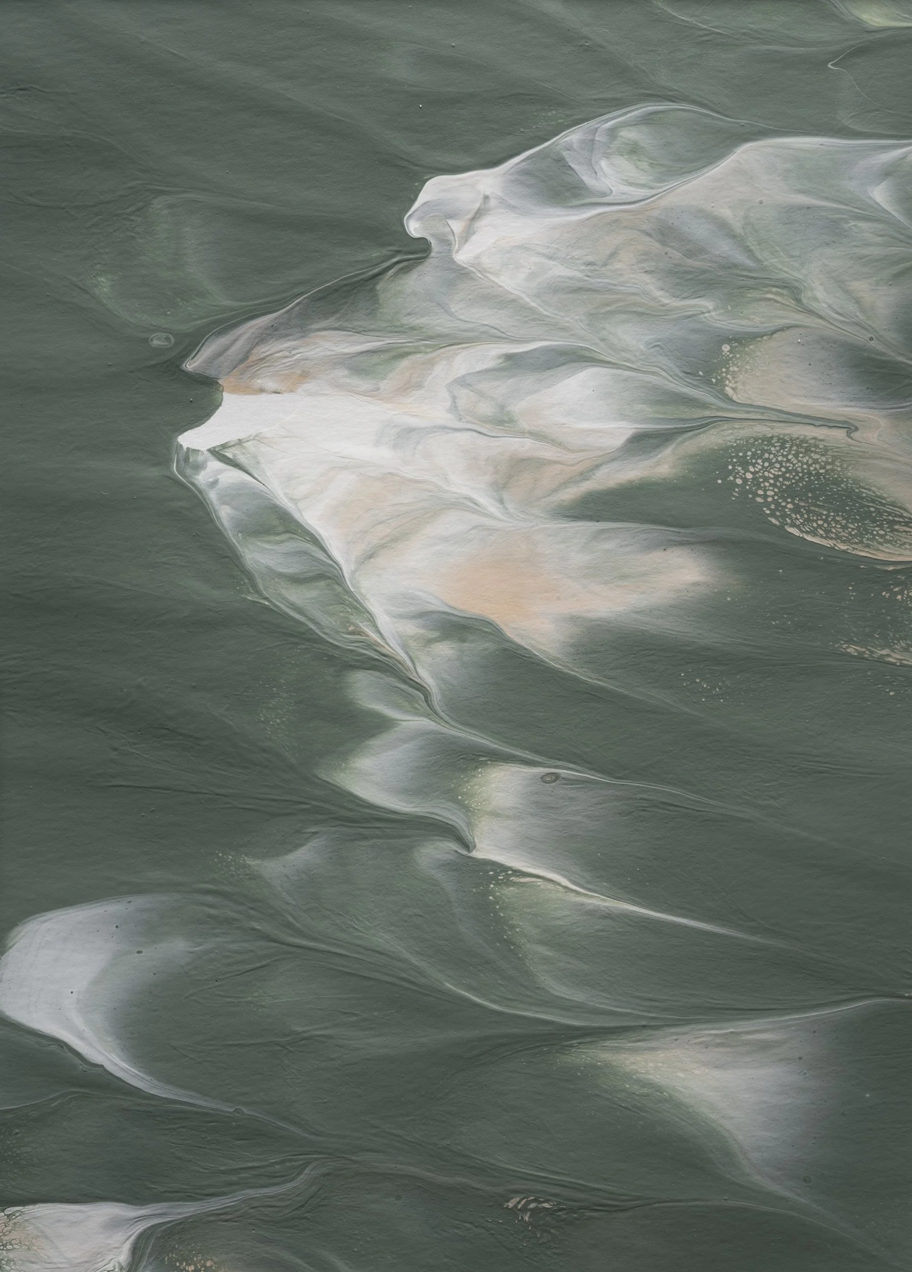 Low Country Series