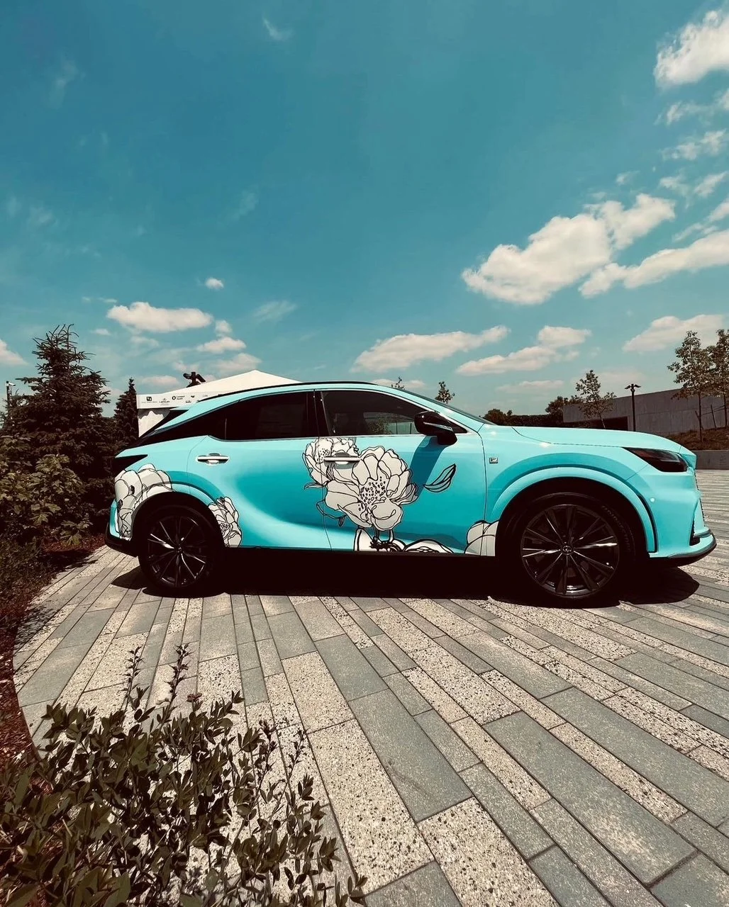 FREDERIK MEIJER GARDENS | Fifth Third Bank Summer Concert Series Campaign | Lexus Wrap | Art Direction, Illustration, & Surface Design