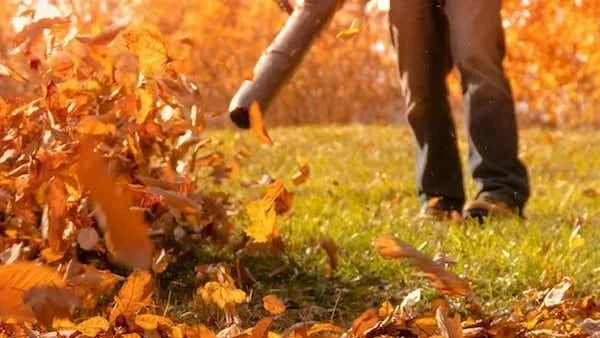 Mow Right does Spring and Fall Clean Ups. Person raking fallen autumn leaves on a grassy yard.