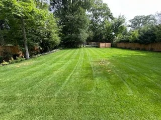 A well-maintained, lush green backyard lawn with a wooden fence and trees in the background.