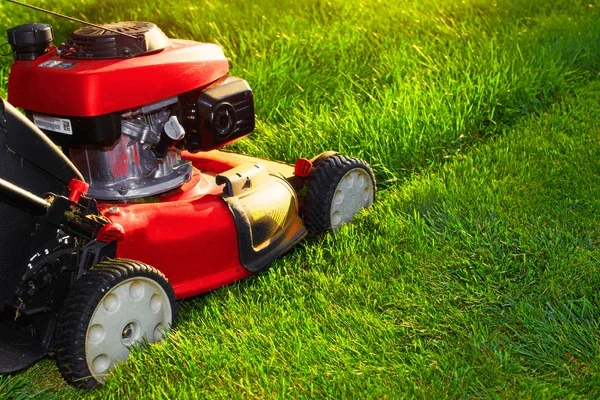 Lawn mowing in Halton and Peel Regions. Close-up of a red lawn mower on green grass.