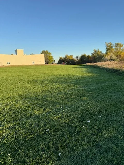 An example of Mow right client. A grassy field with a beige building to the left and trees in the background under a clear blue sky.