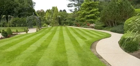 Lawn mowing and maintenance in Halton and Peel Region. Well-manicured lawn with striped grass pattern, curved concrete pathway, and lush green shrubs and trees in a garden.
