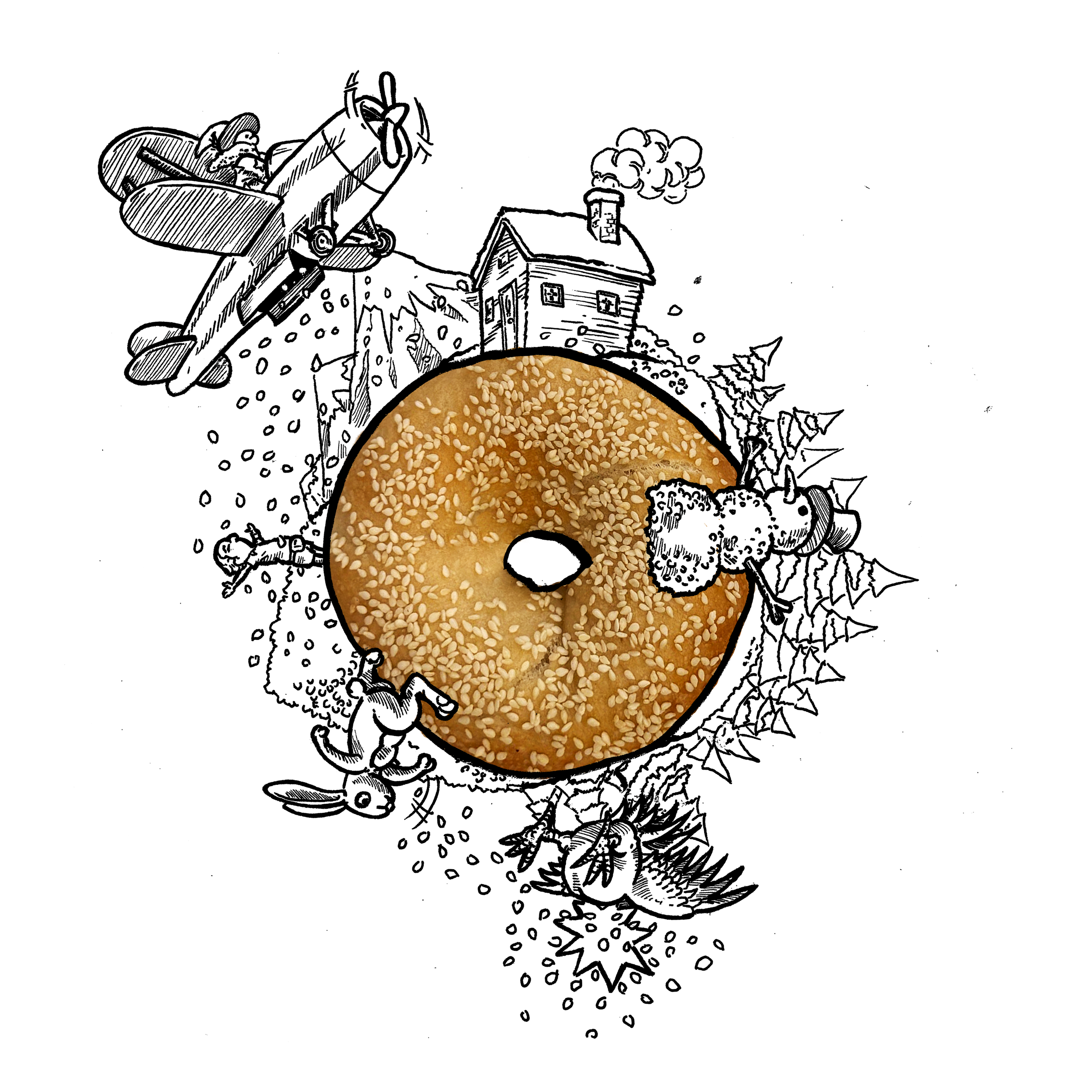 Sesame Seed