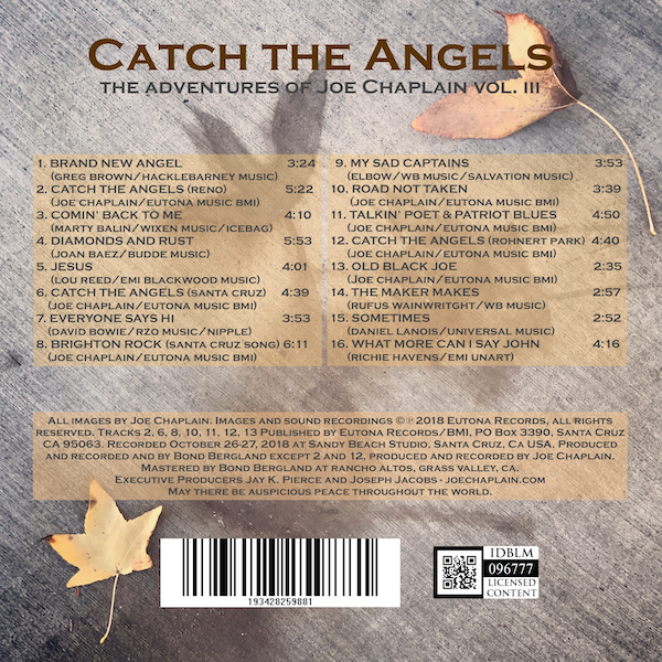 Catch_The_Angels_Back_Cover.png