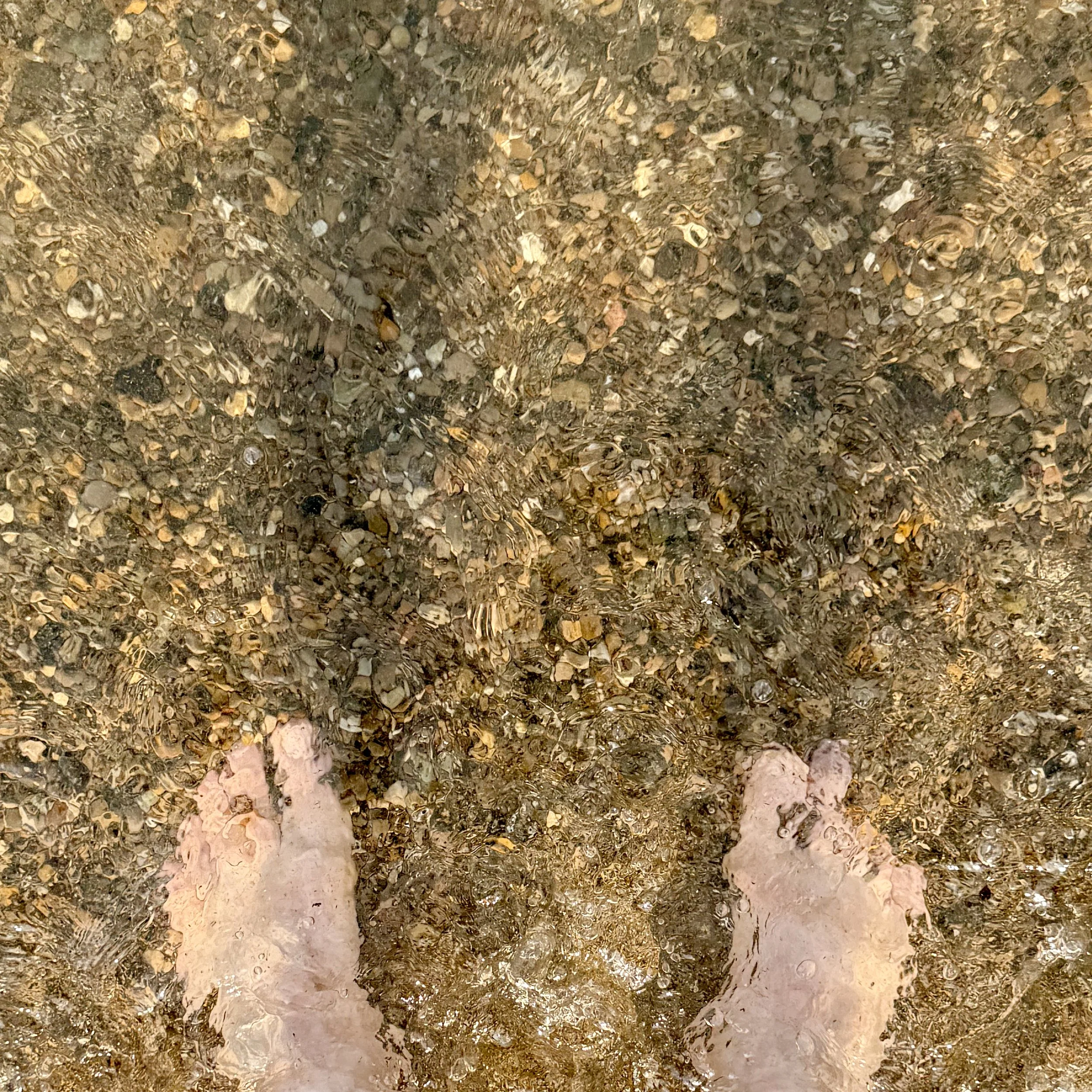 FEET.jpeg