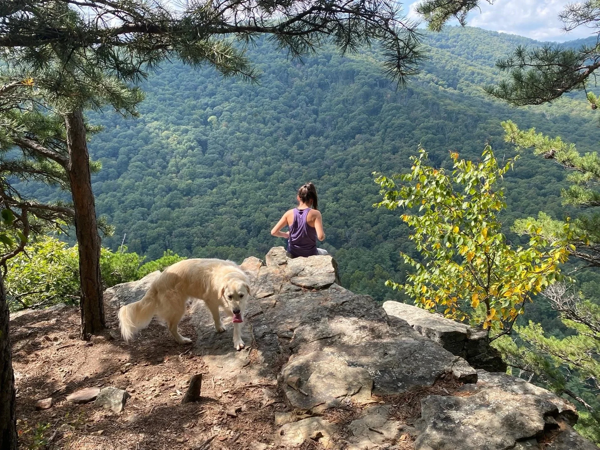 A person and a dog sitting on rocks on a mountain trail overlooking a lush green forested valley.
