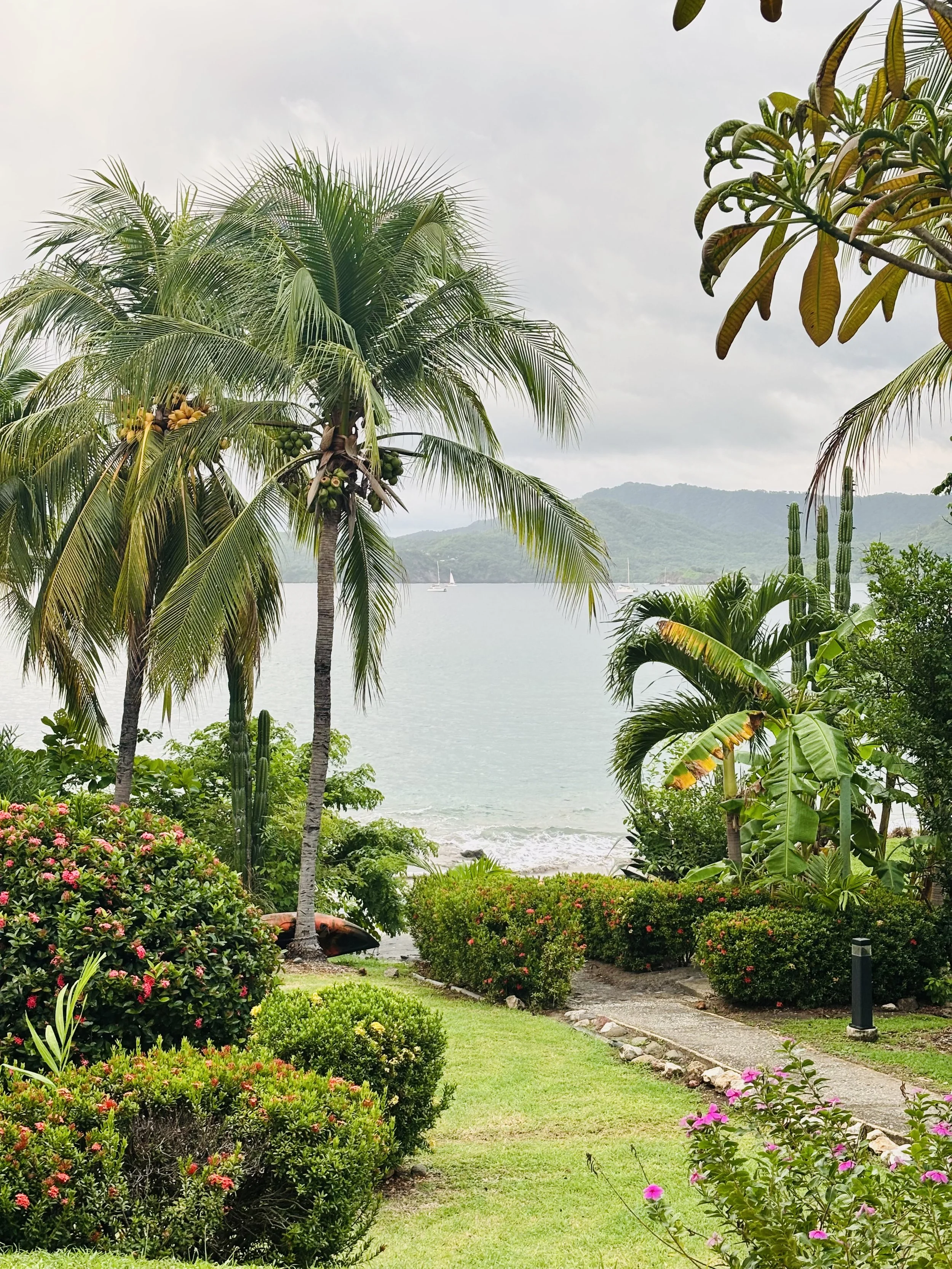 Tropical garden scene with palm trees, lush green shrubs, a small pathway, and a view of the sea with sailboats and mountains in the background.