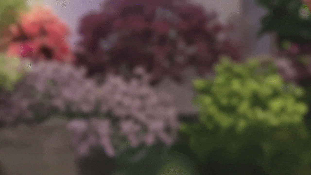 Duolingo - Black & Pink Banana Kick