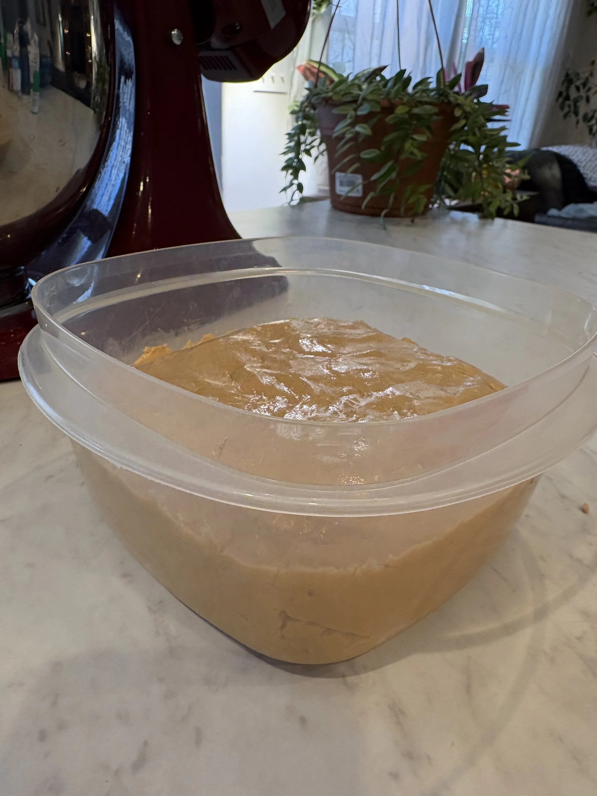 Squashed into a Container