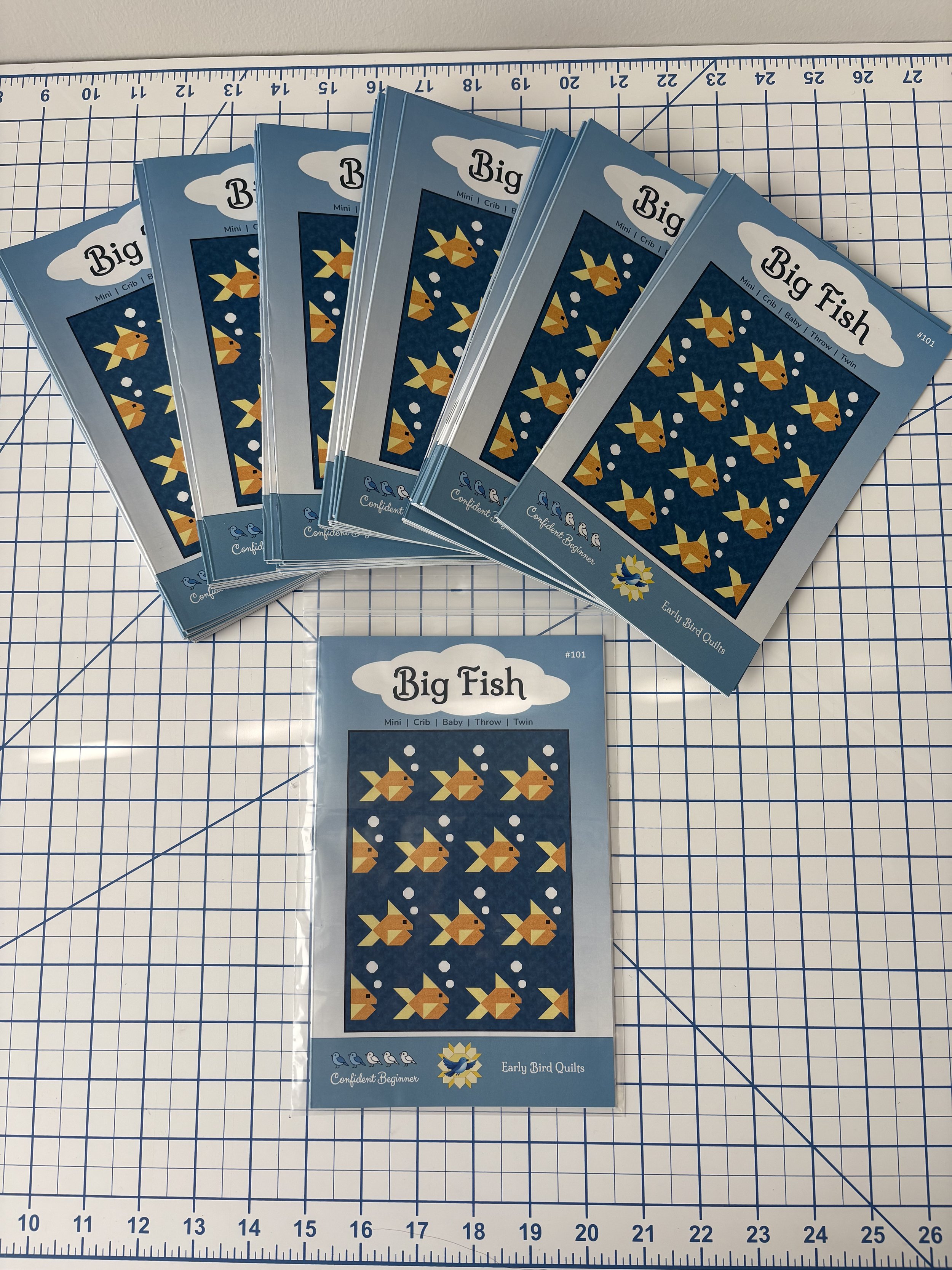 Big Fish - 5 Booklets