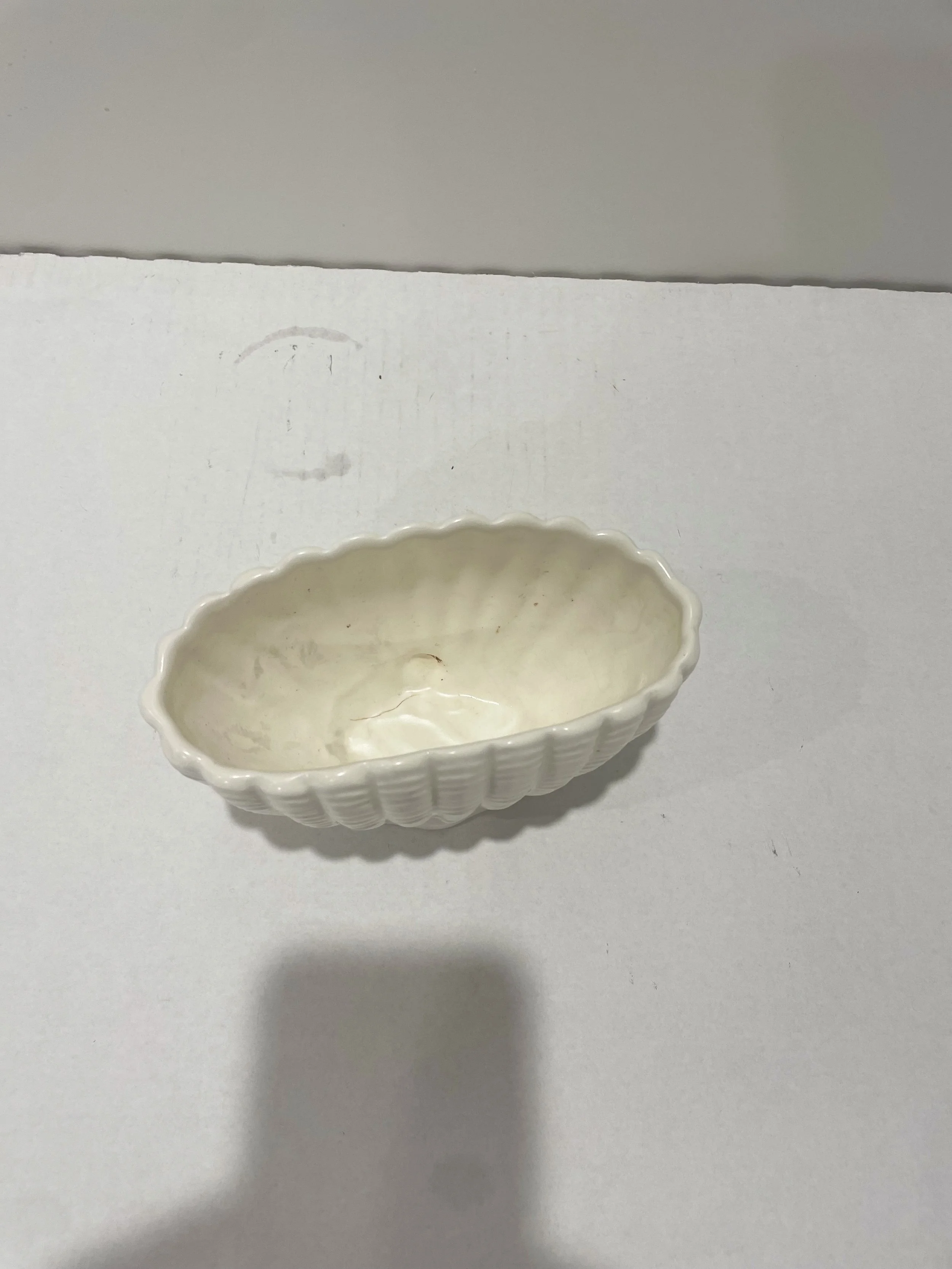 IMG_2083.jpeg