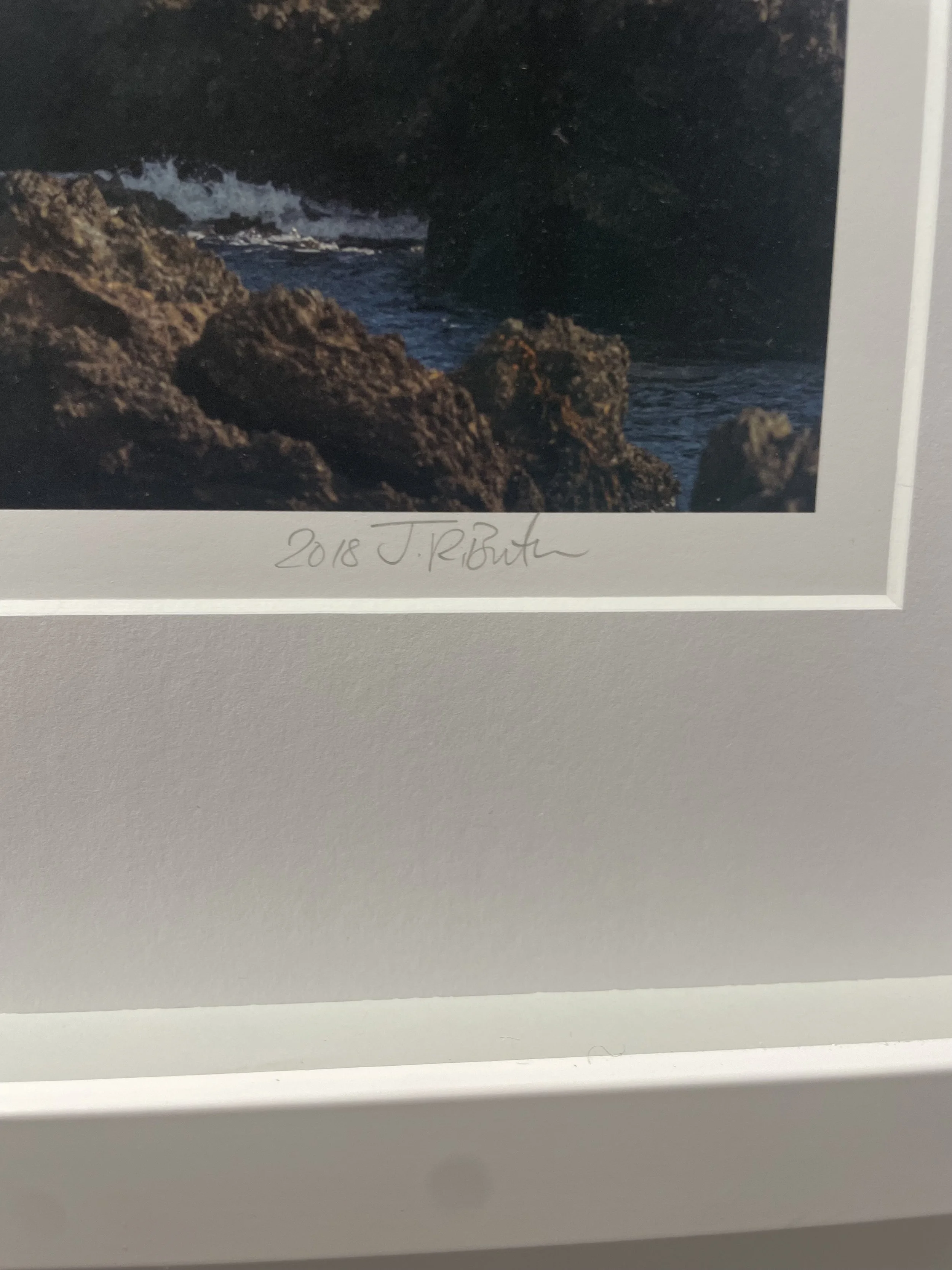 IMG_2301.jpeg