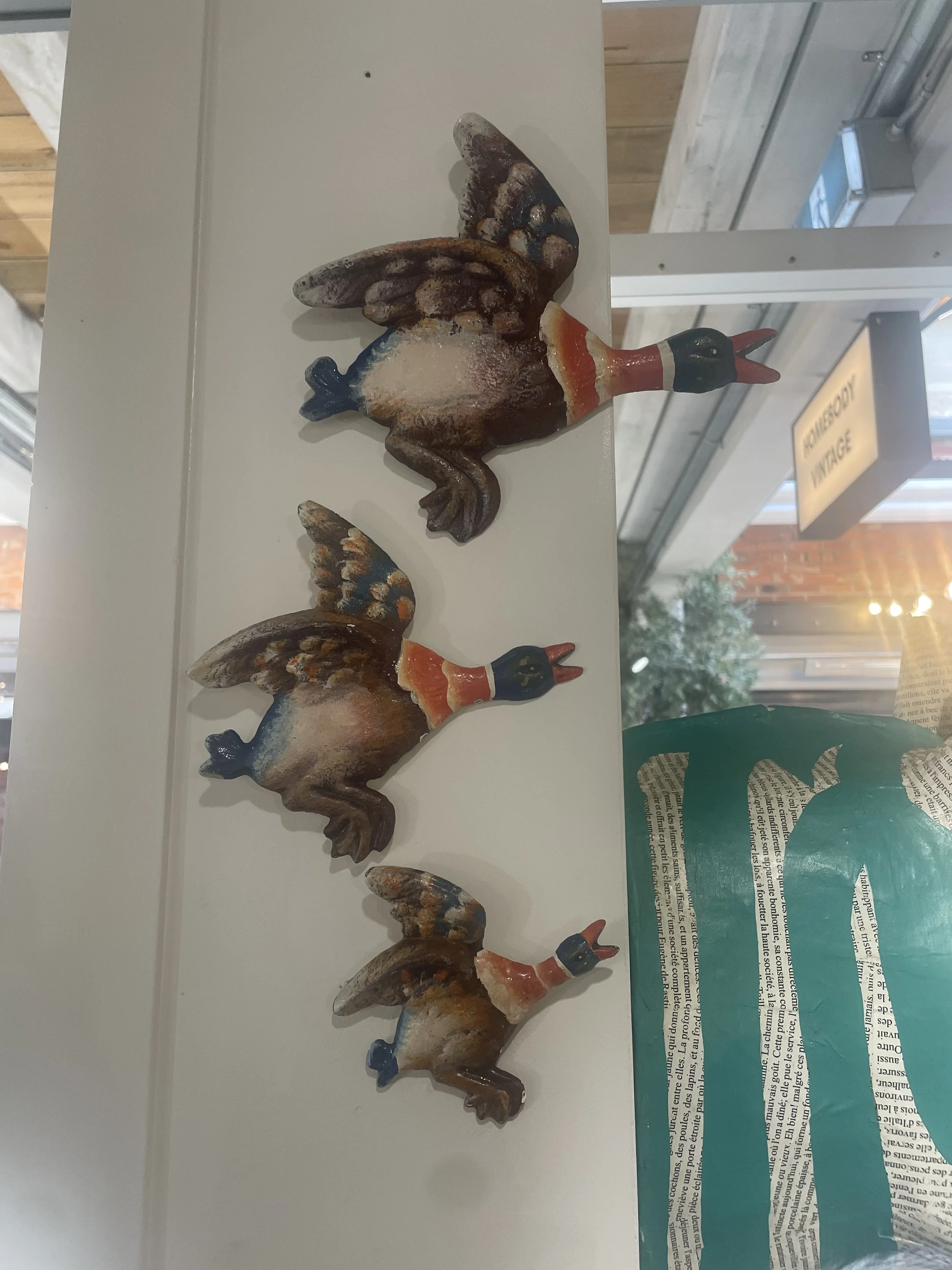 IMG_3446 (1).jpeg