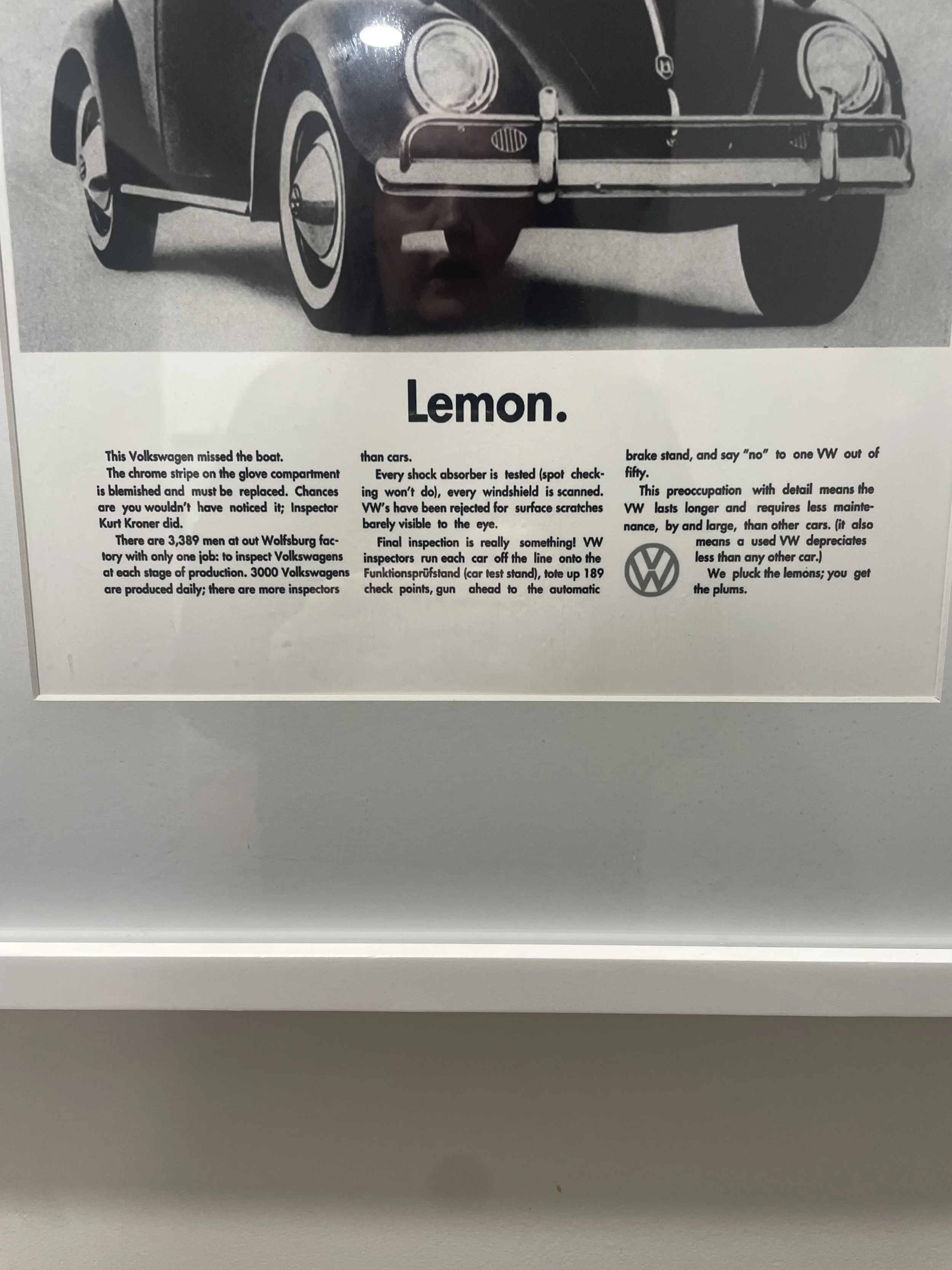 IMG_2151.jpeg