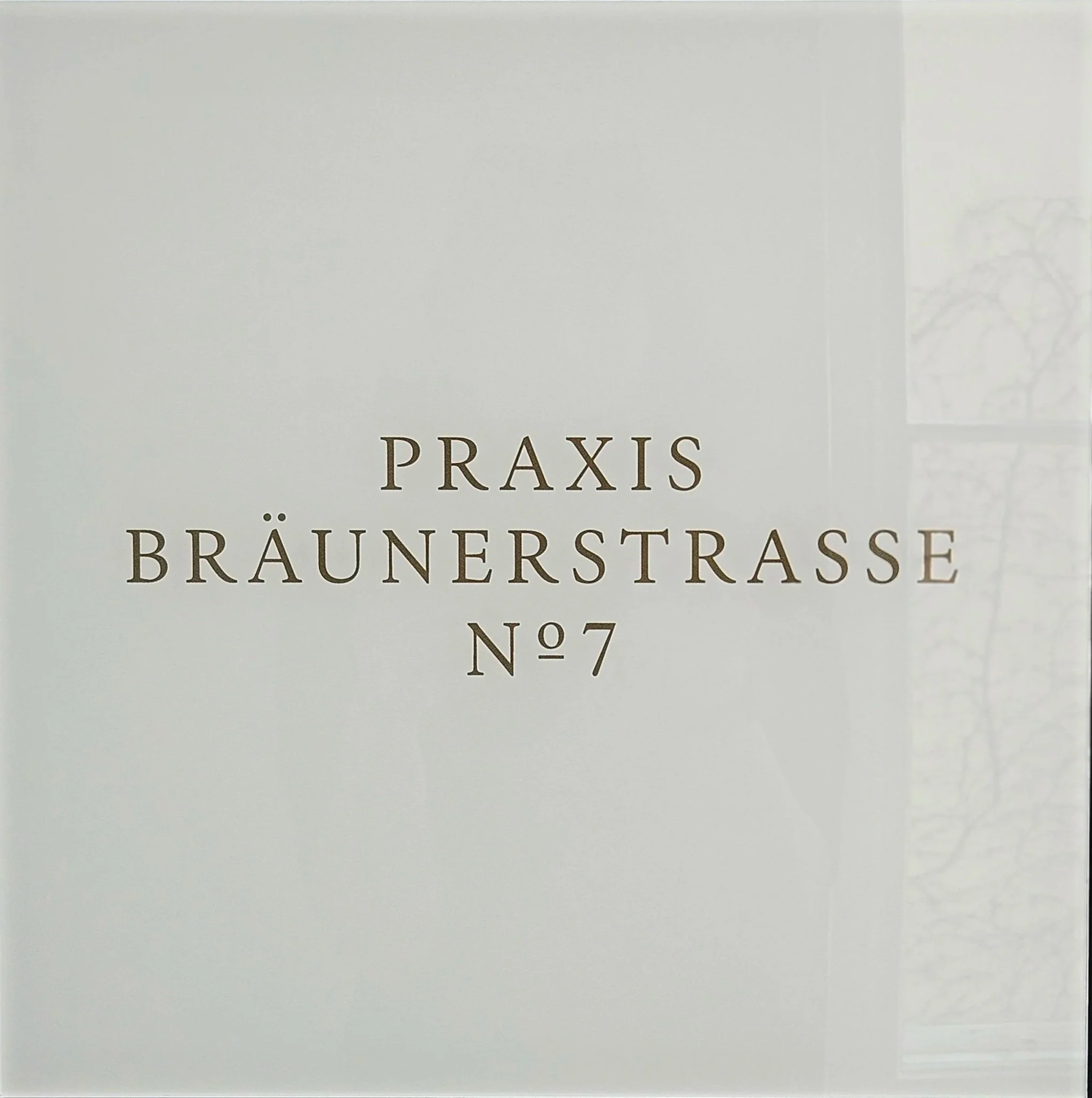 Schriftzug auf einer weißen Wand mit schwarzen Buchstaben, der 'PRAXIS BRAUNERSTRASSE N°7' liest.