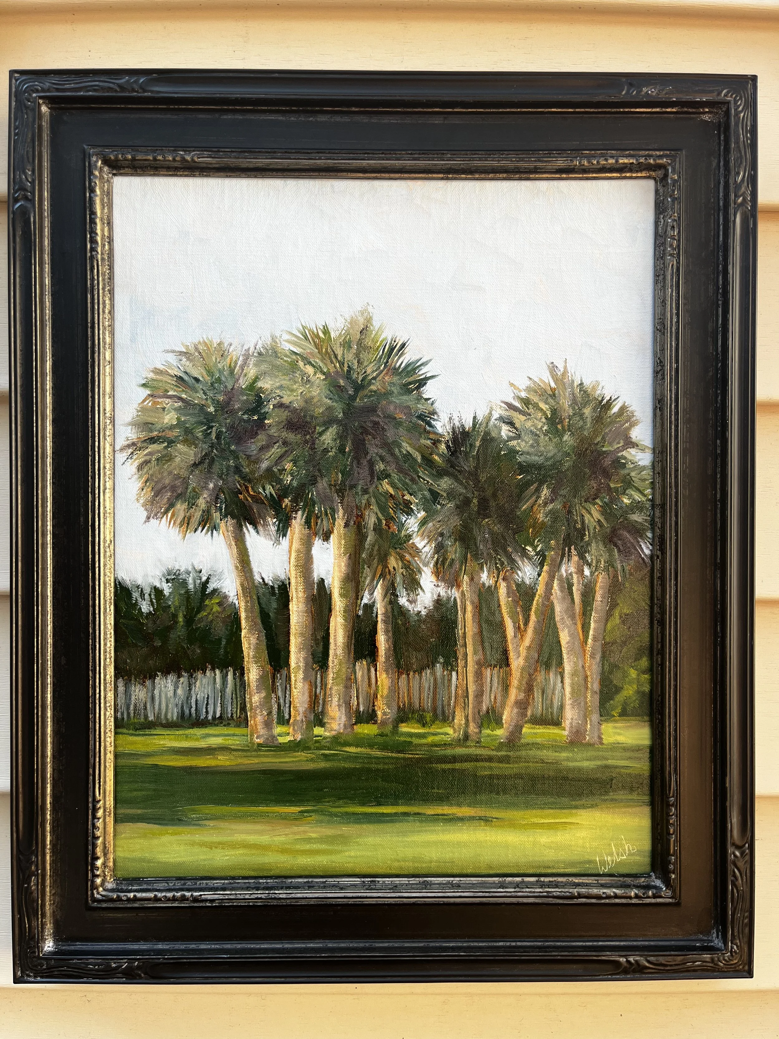 Edisto State Park Palms