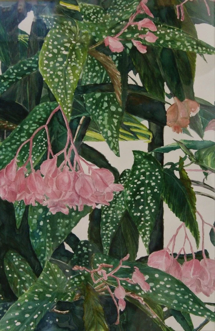 watercolor - original signed print