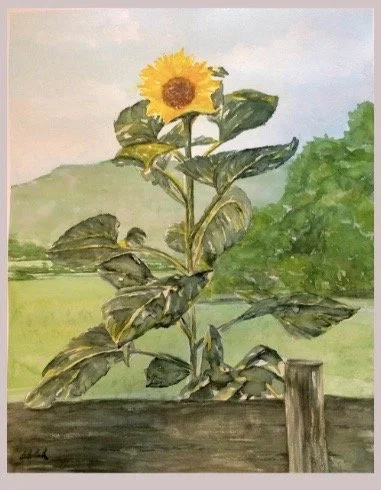 'Sunflower in Valle Crusis' watercolor, SOLD