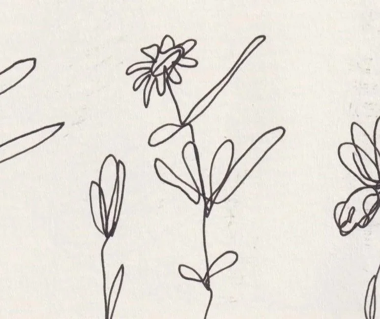 In development: The Nature Nurture Collection