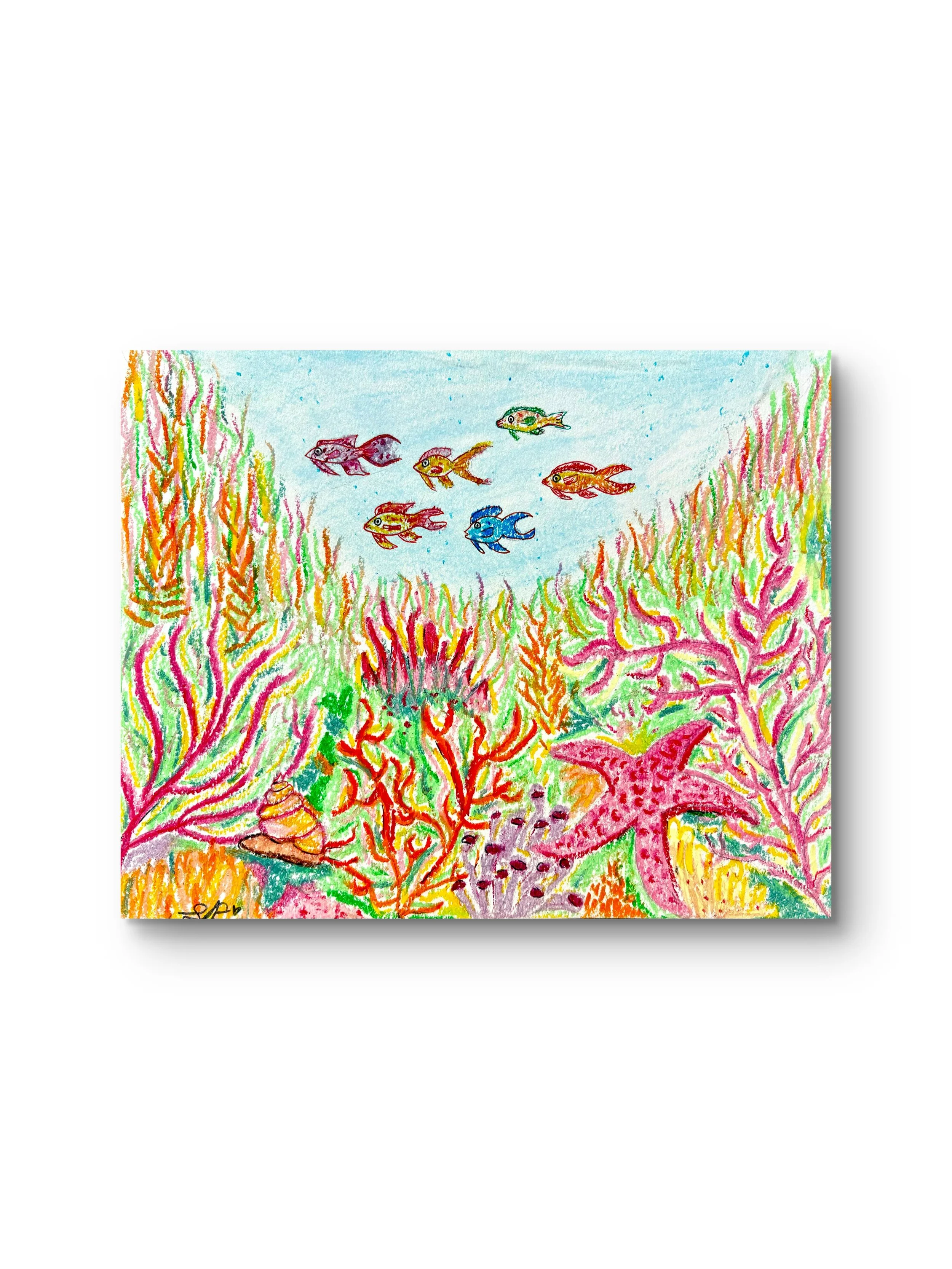 "Coral Reef" Fine Art Print