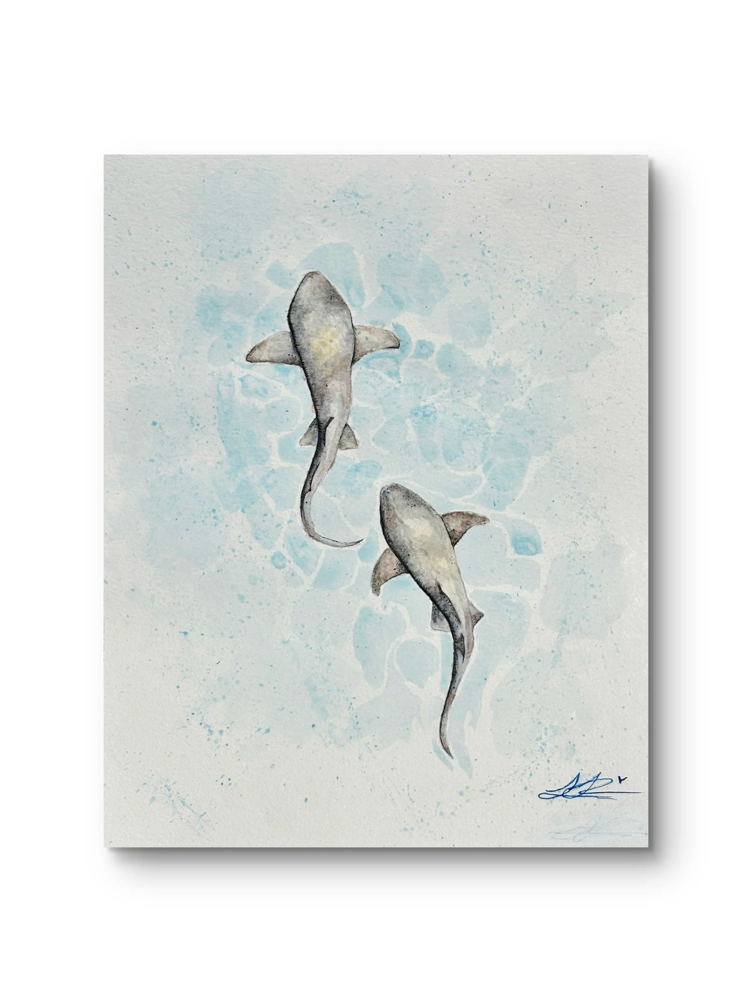 "Twin Sharks" Fine Art Print