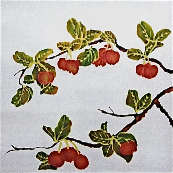 9 Panel Screen Barbados Cherry.jpeg